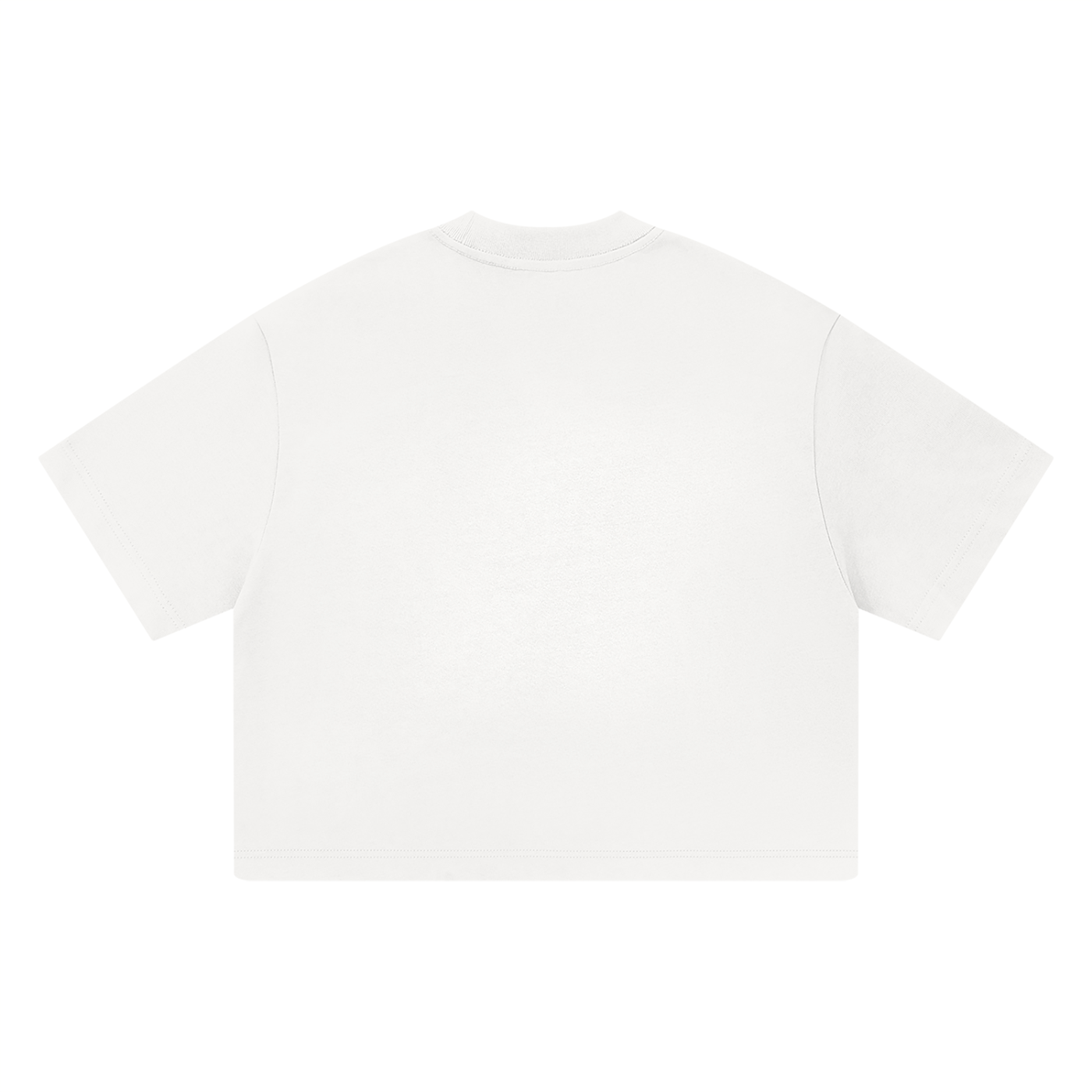ROMAN HEAVYWEIGHT TEE-2